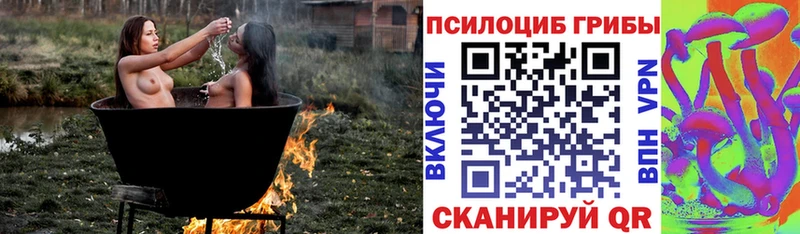 Купить закладки  Торжок  Галлюциногенные грибы GOLDEN TEACHER 
